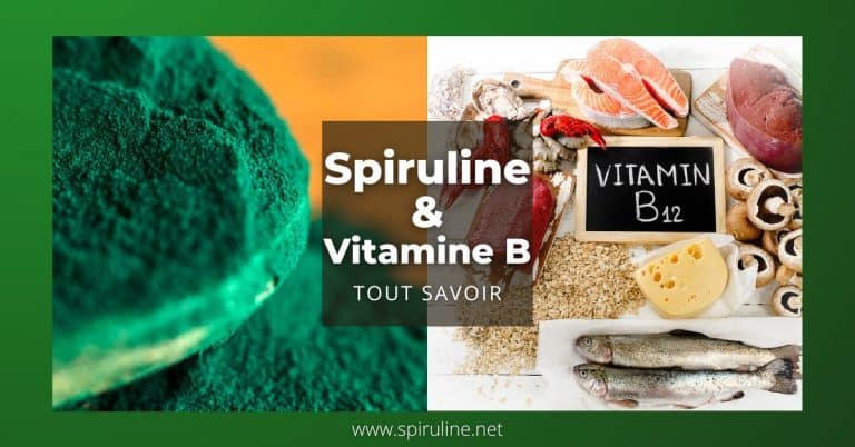 Vitamine B & Spiruline